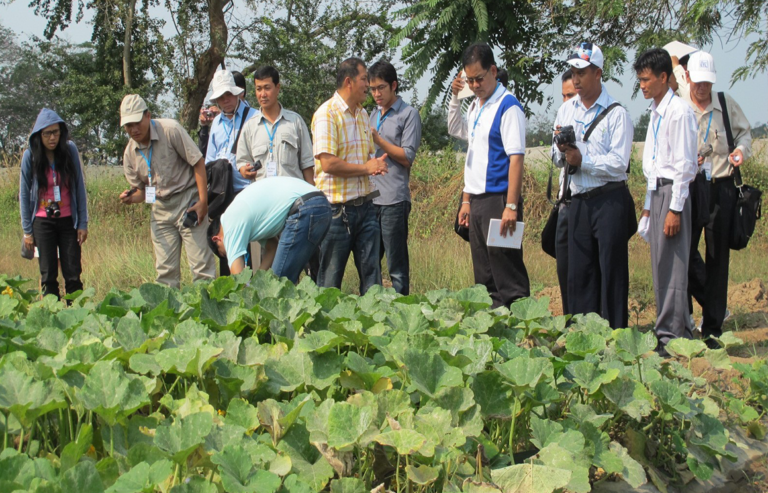 Post harvest technology