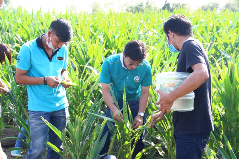 Tailor Made Training Programs