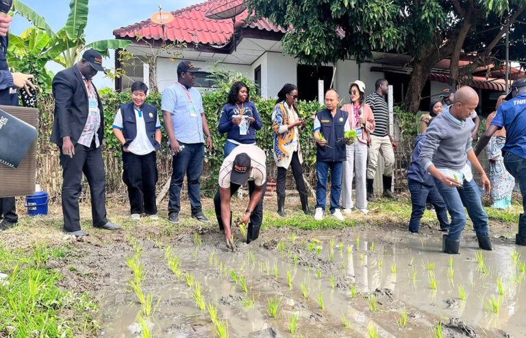 Third Country Training Program (TCTP) – Rice Production Technologies for Food Security and Sustainability of African Countries: Day 15