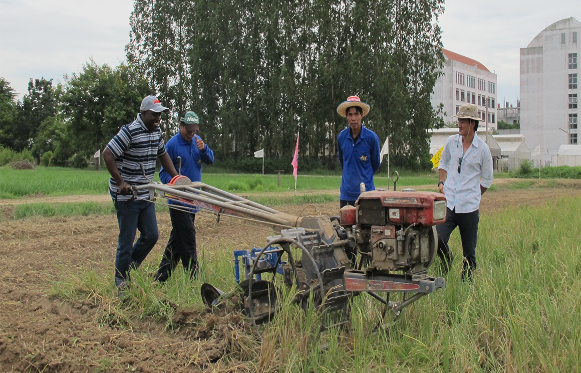 Mechanize and rice