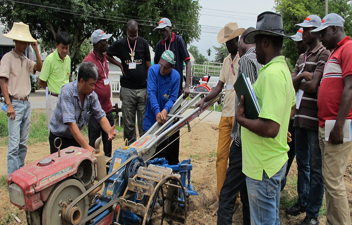 Mechanize and rice