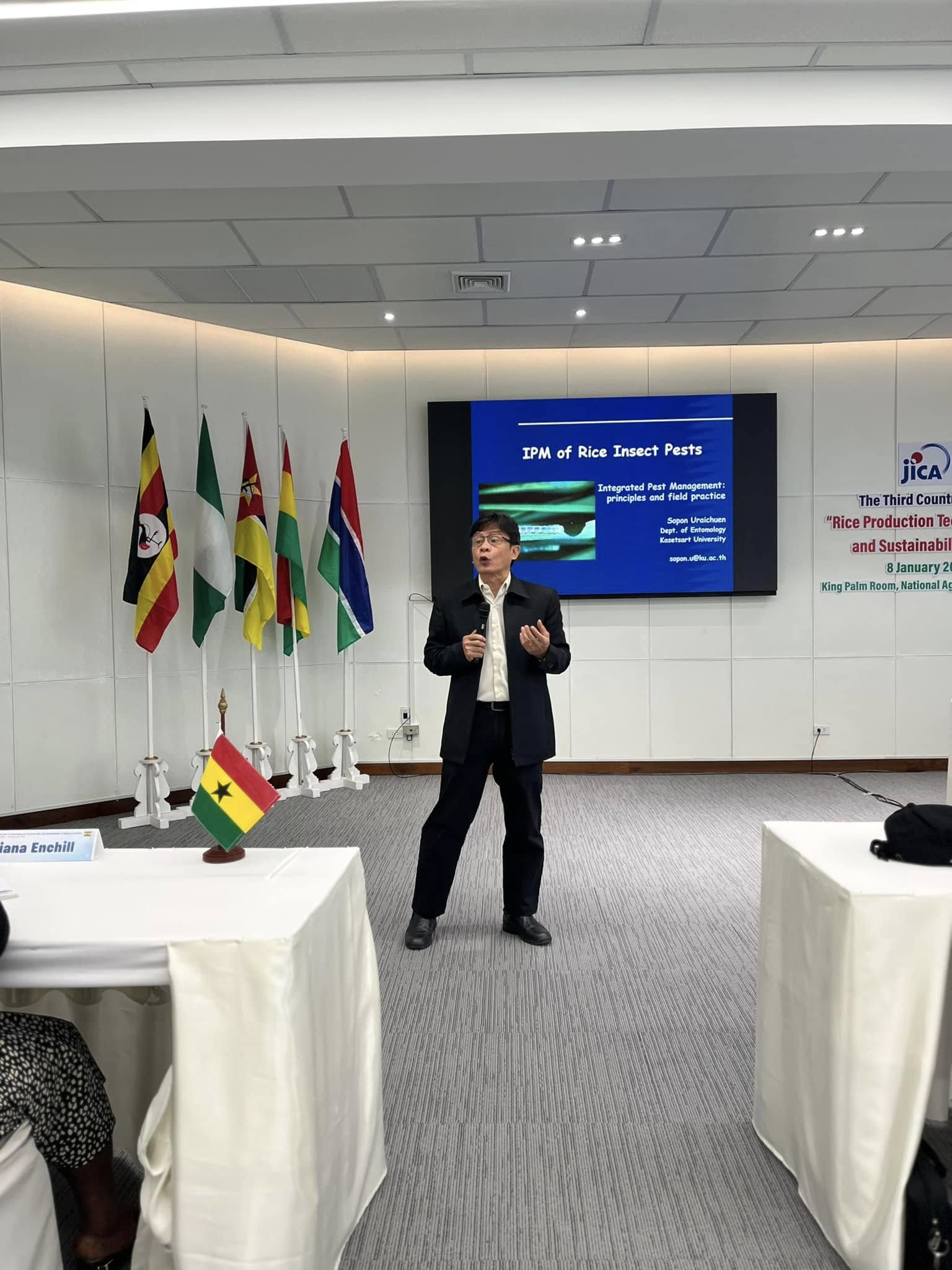 rice production day 6