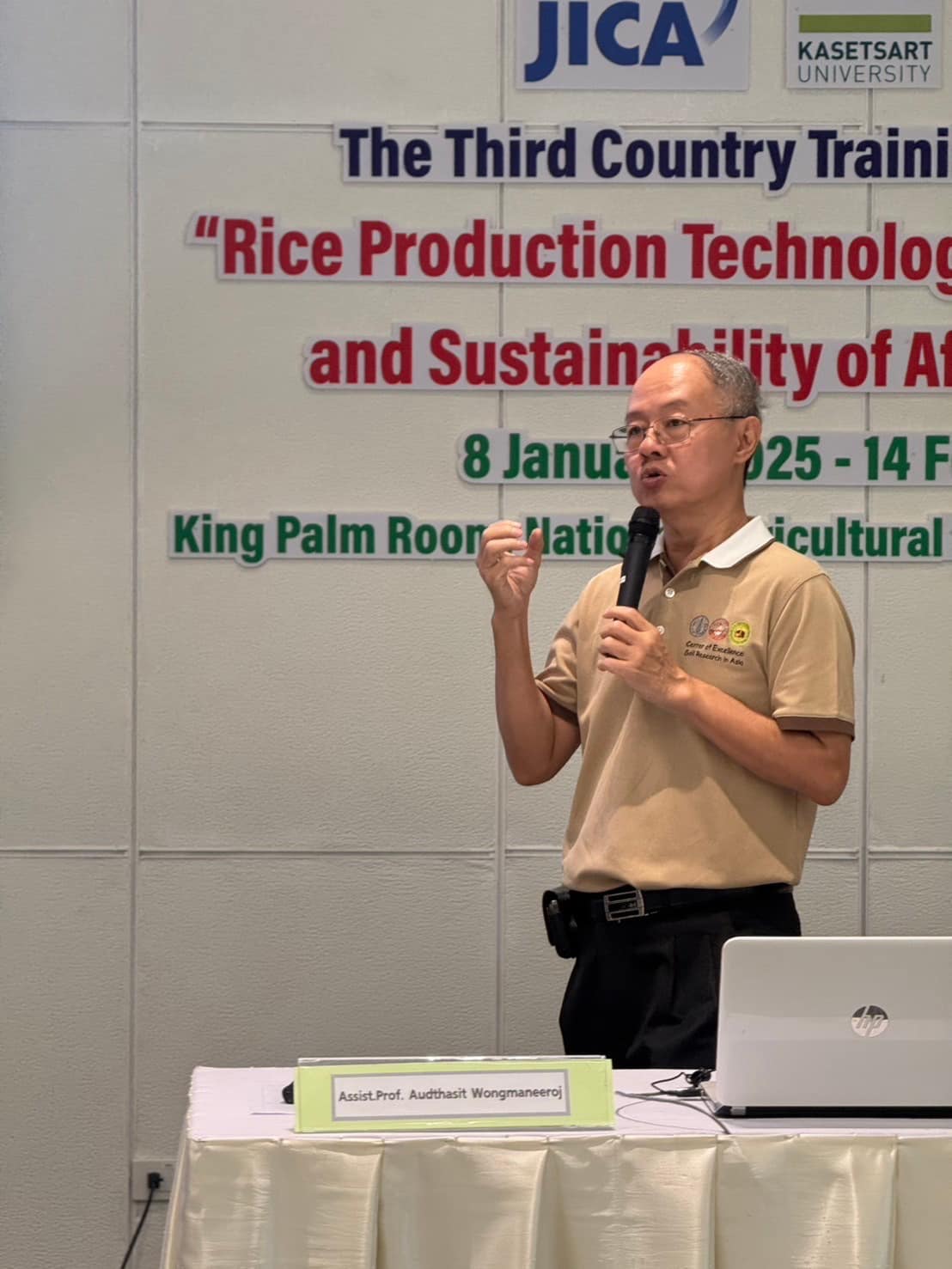 rice production day 7