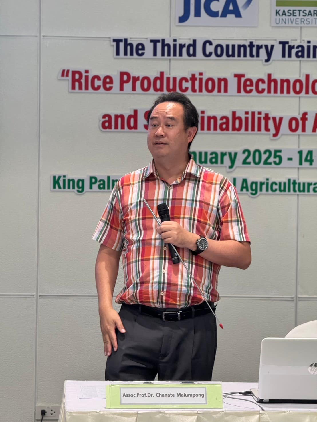 rice production day 7