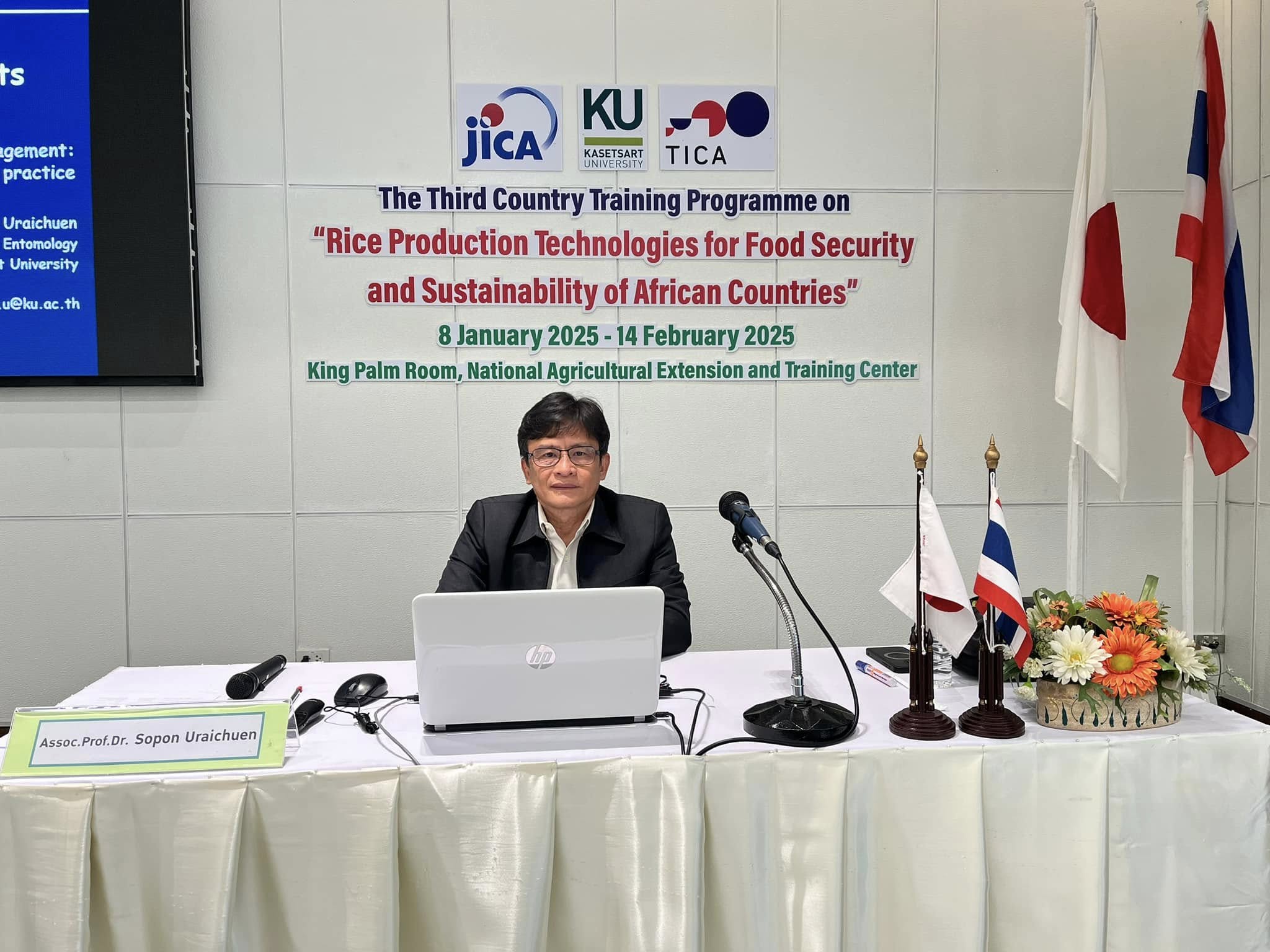 rice production day 6