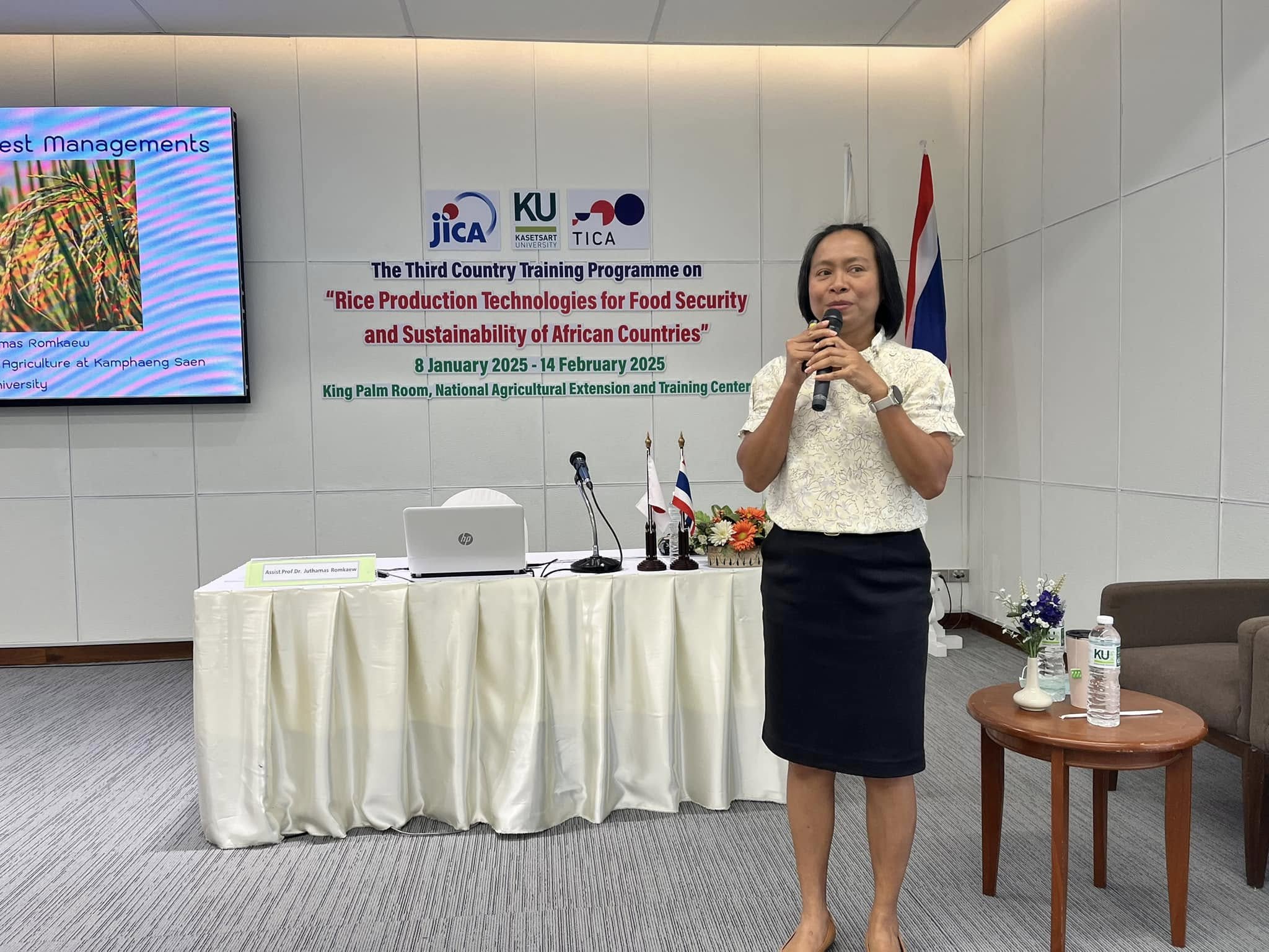 rice production day 6