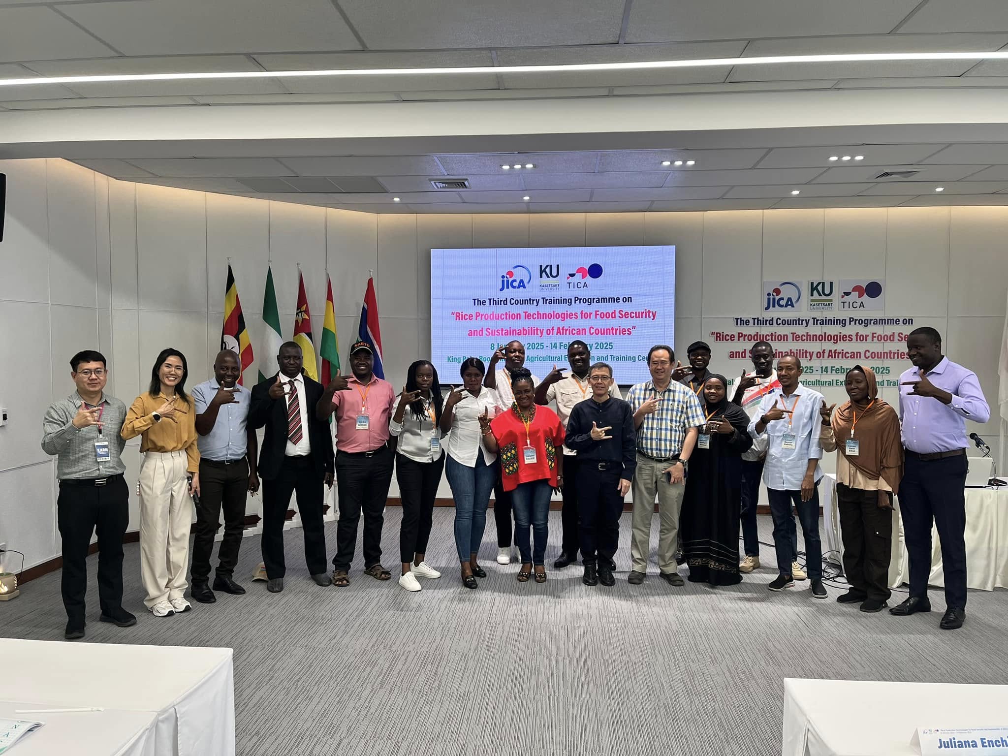 rice production day 9 