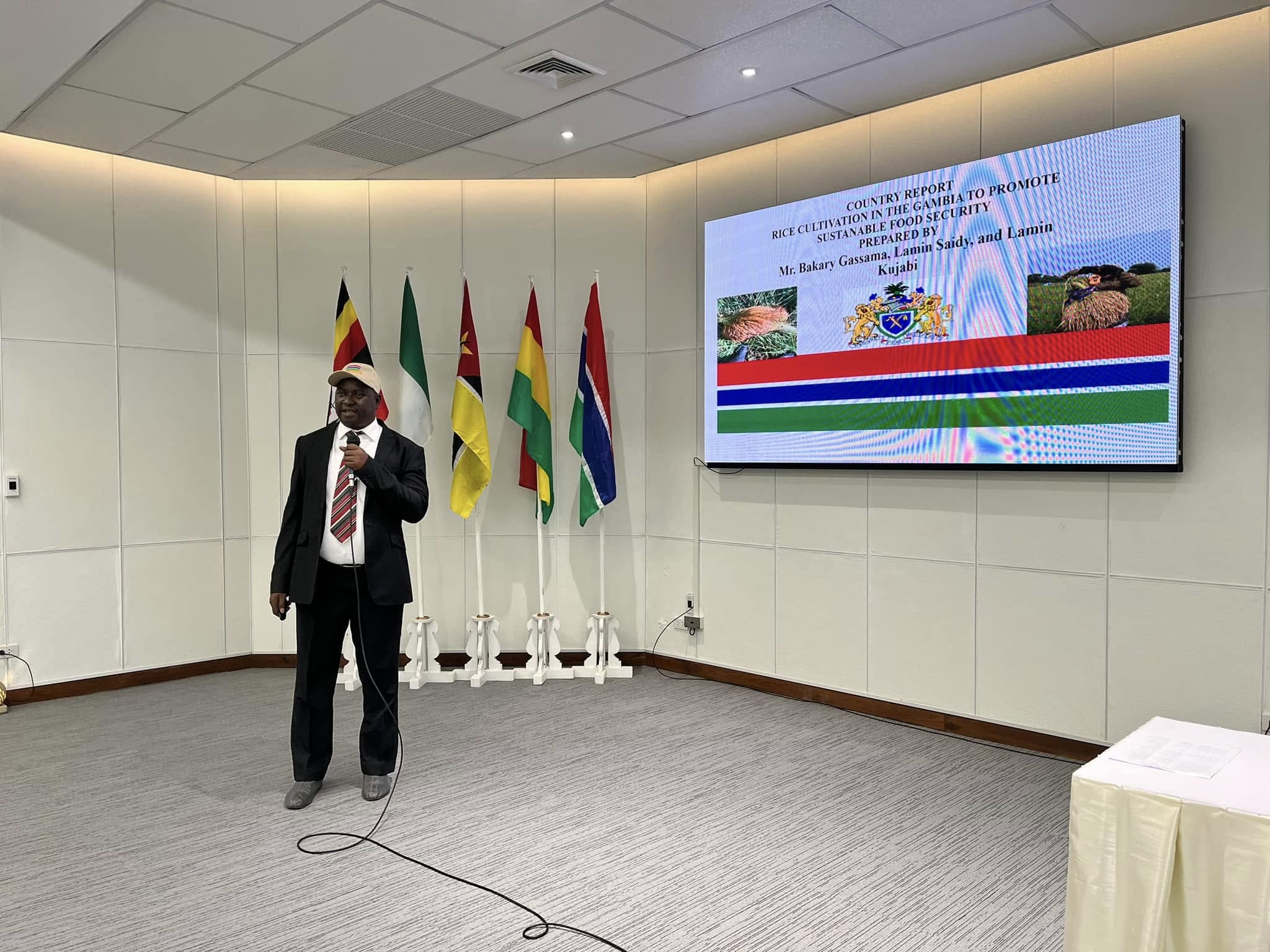 rice production day 9 