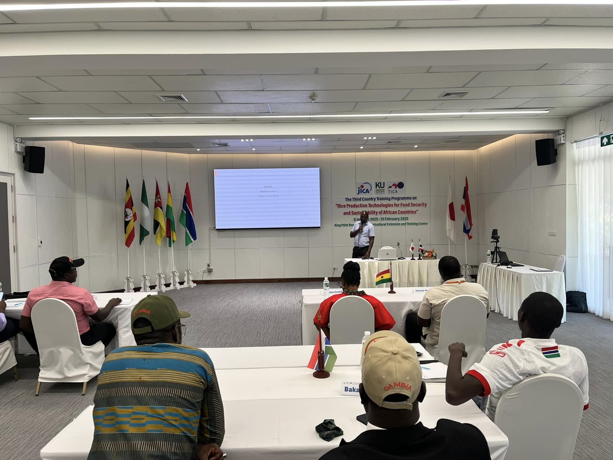 rice production day 9 