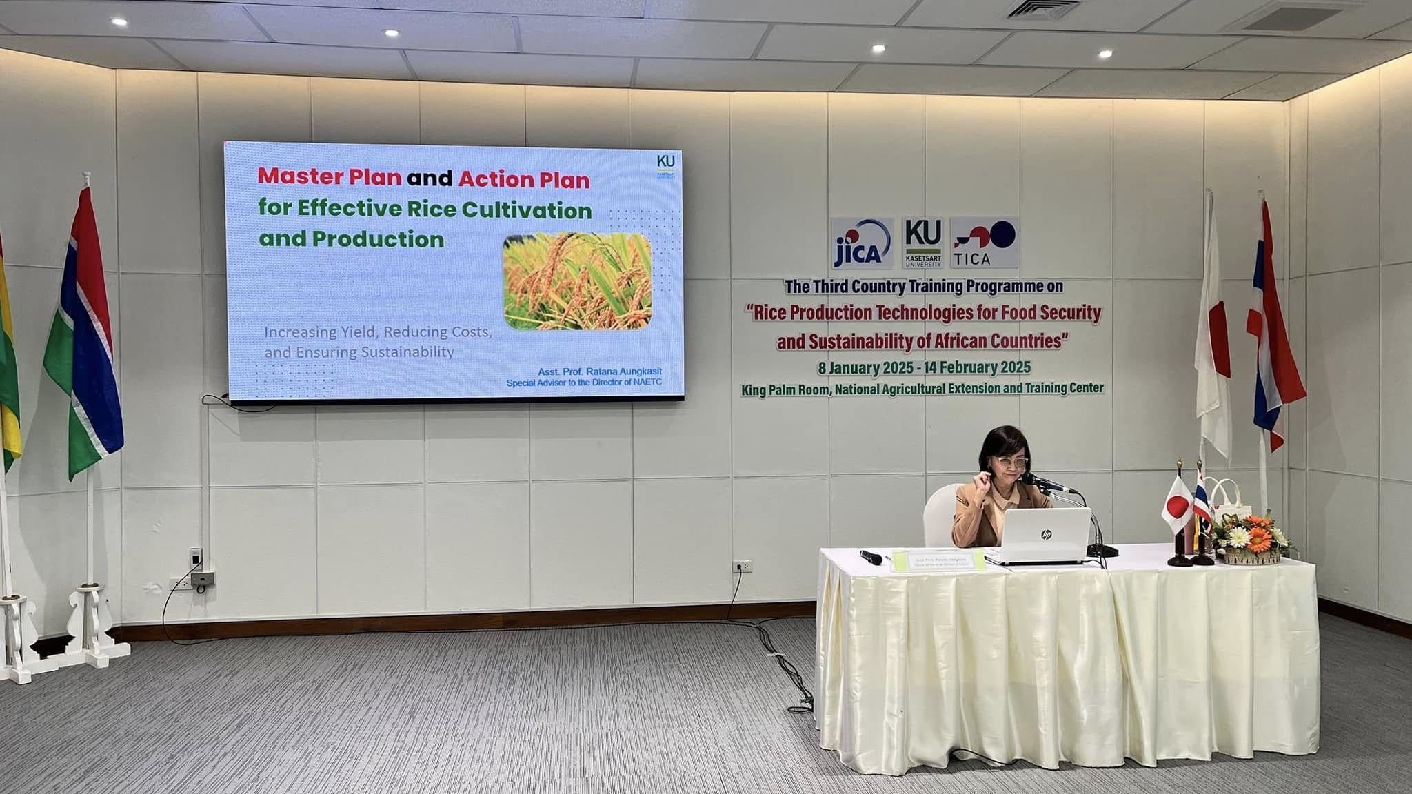 rice production day 10