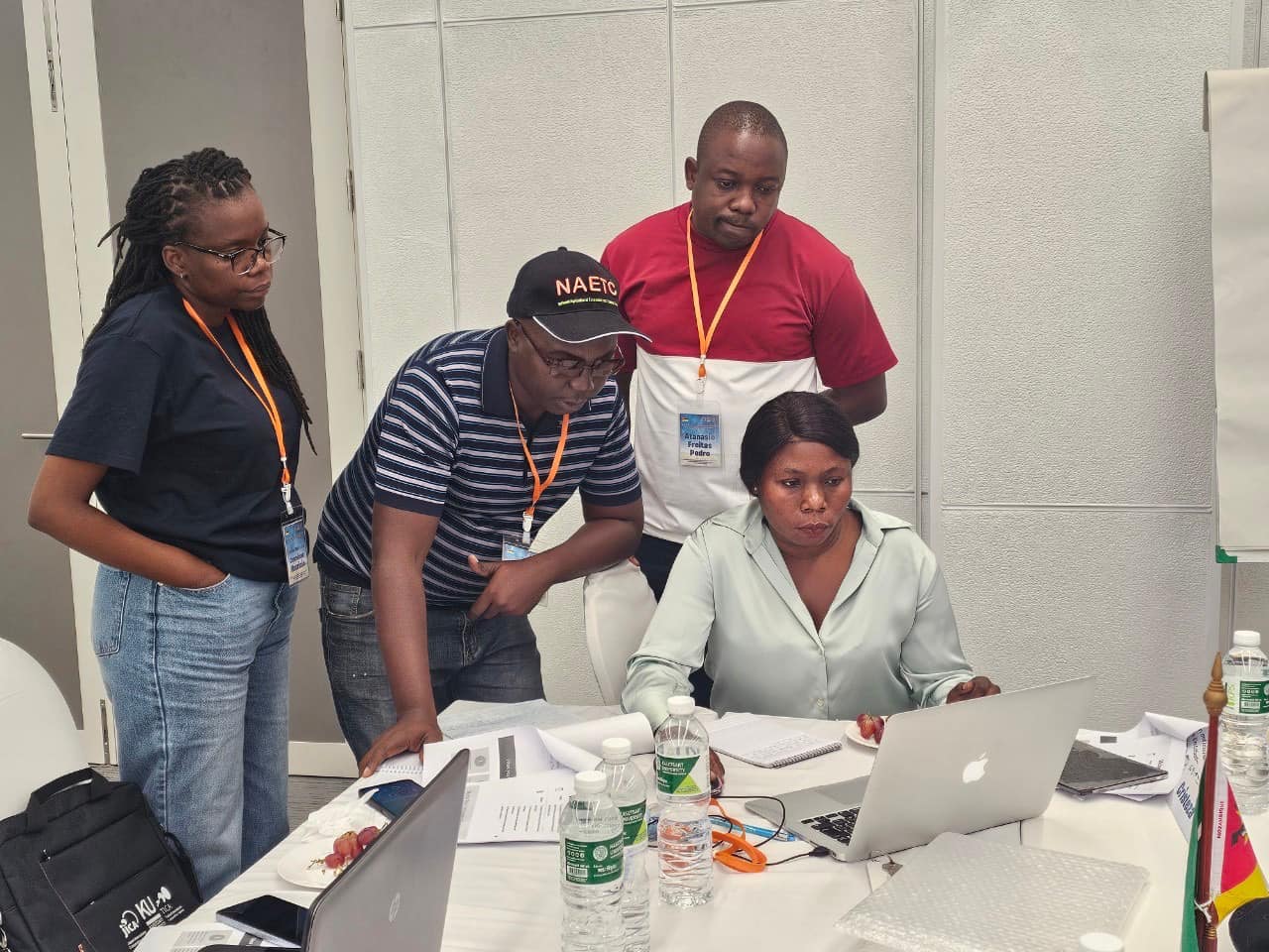 rice production day 10