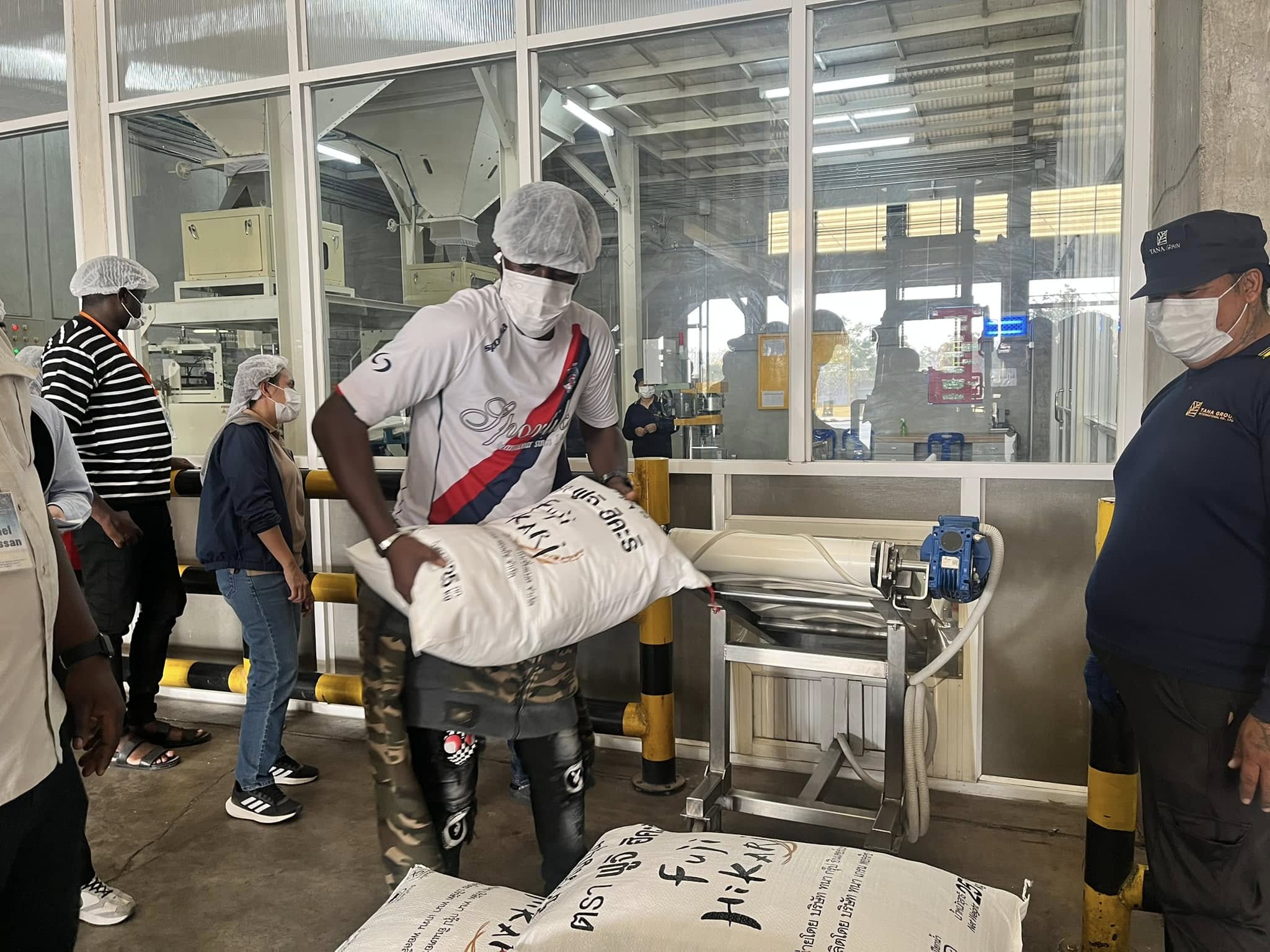 rice production day 11