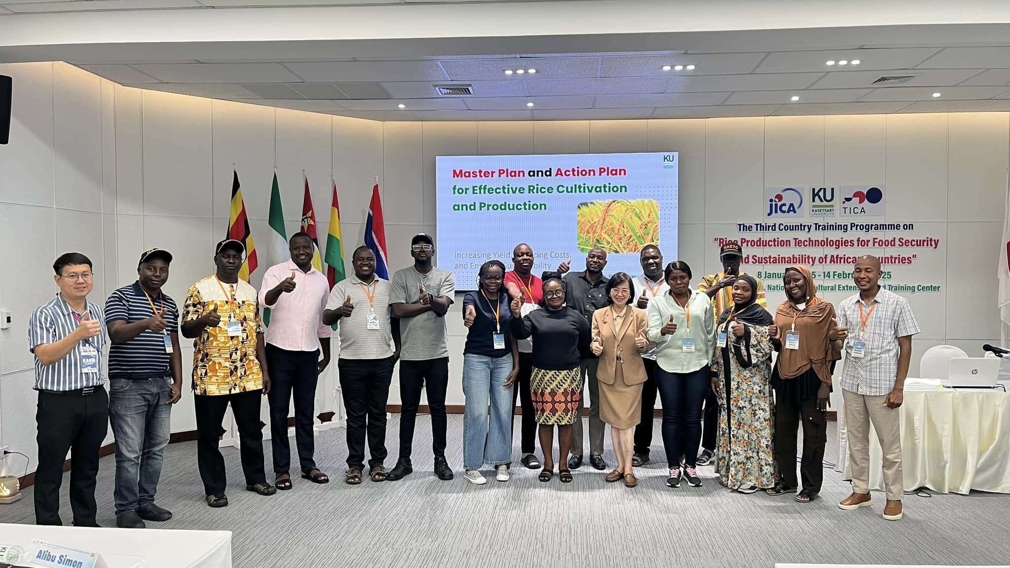 rice production day 10