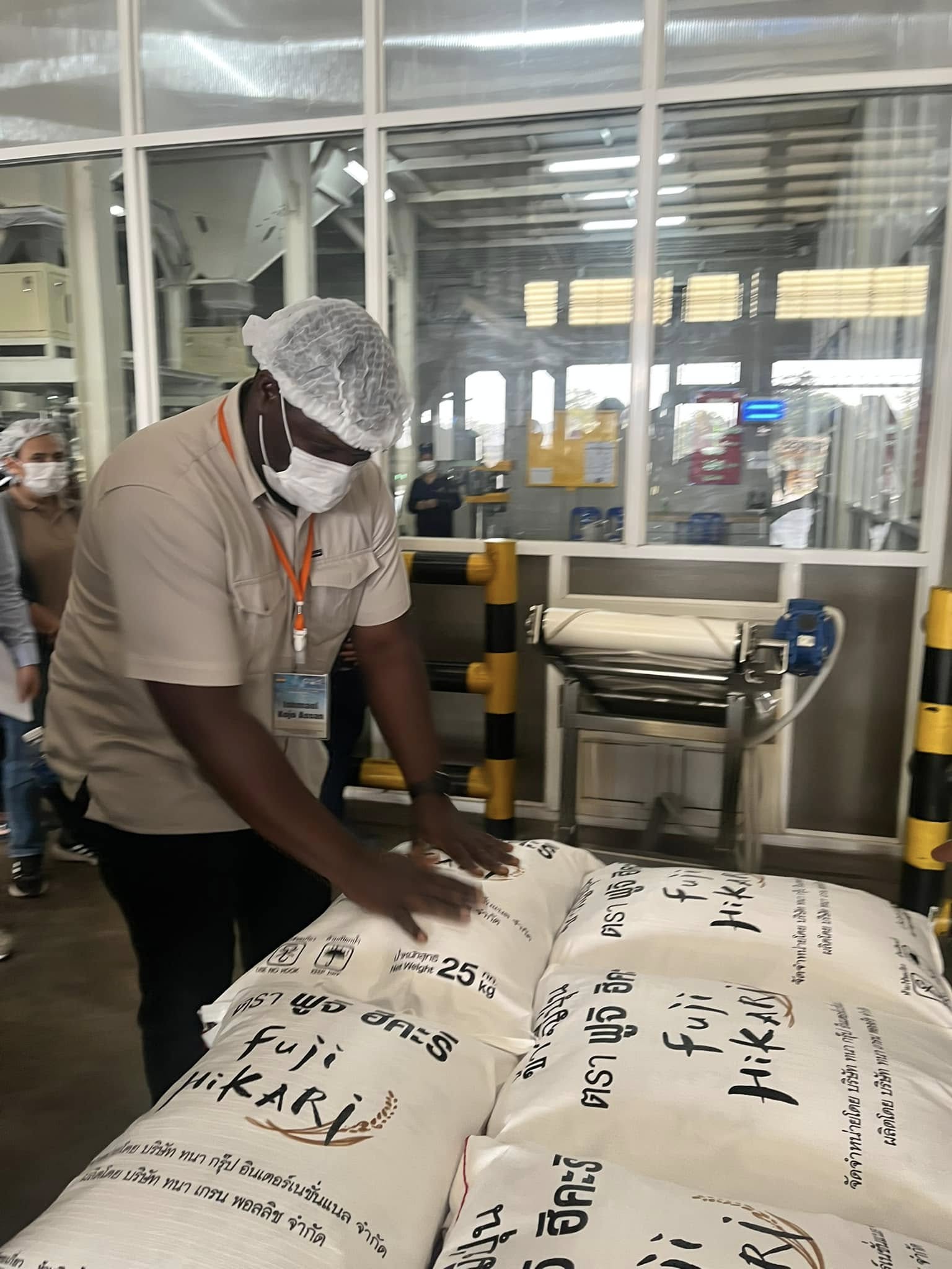 rice production day 11