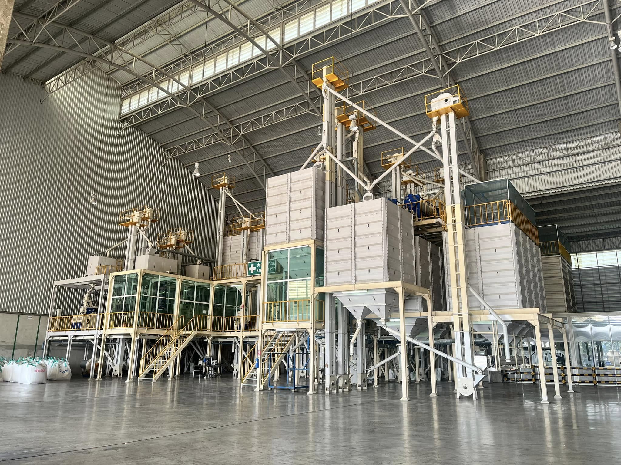 rice production day 11