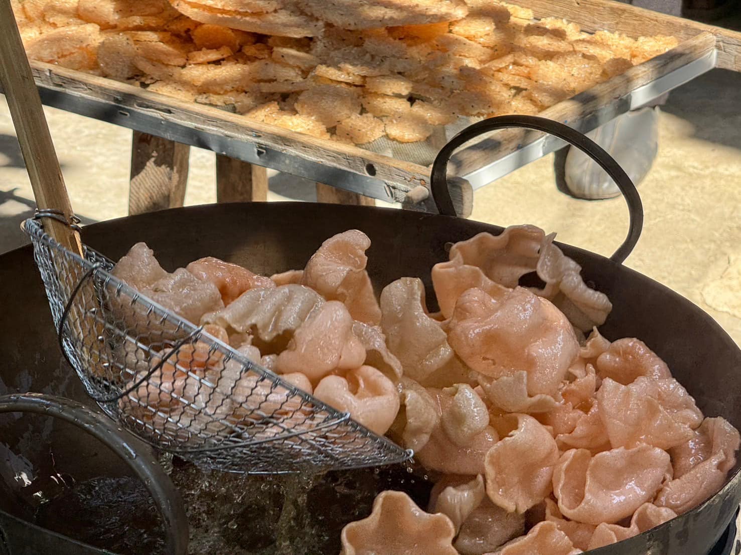 rice production day 13