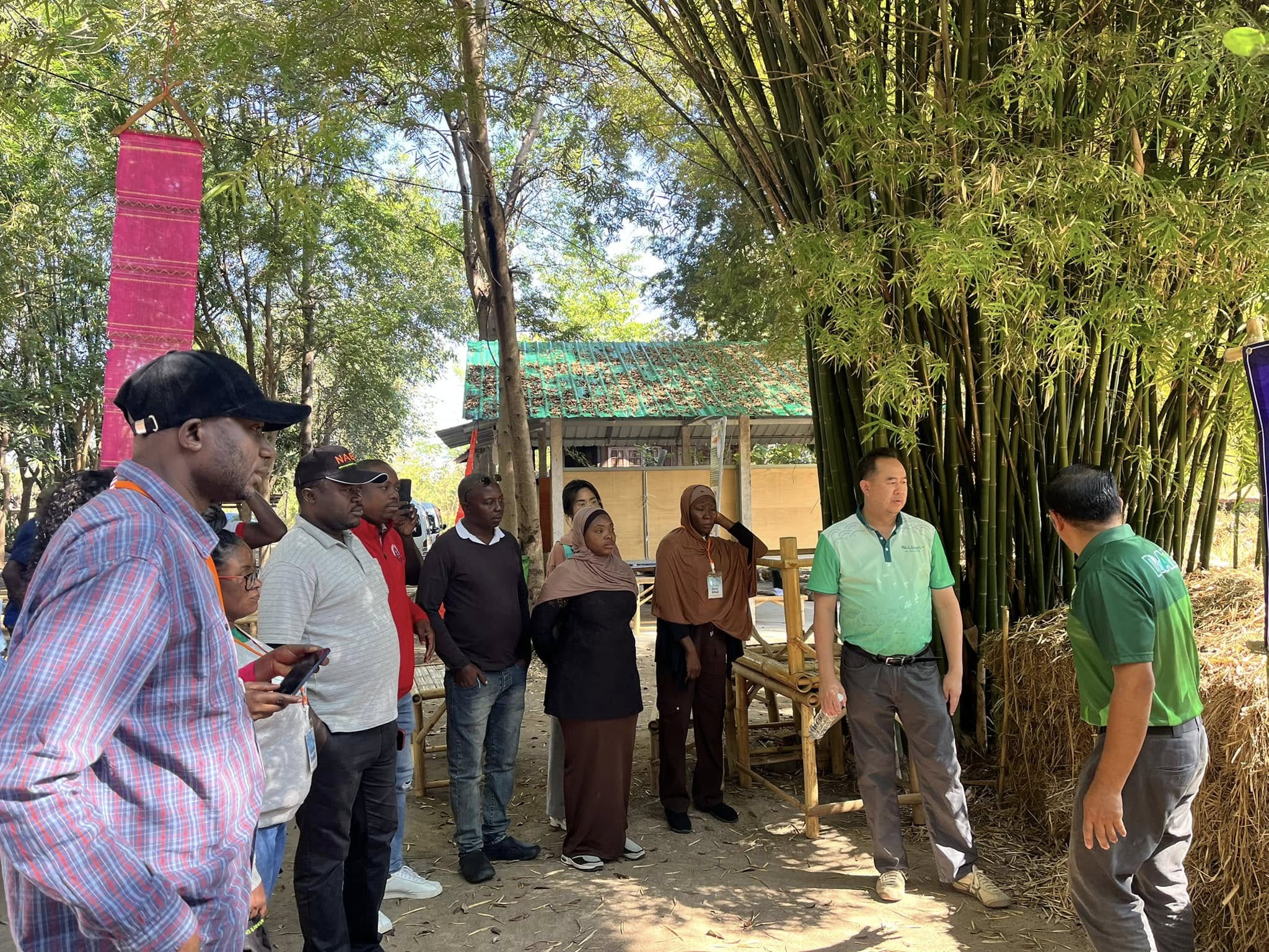 rice production day 13