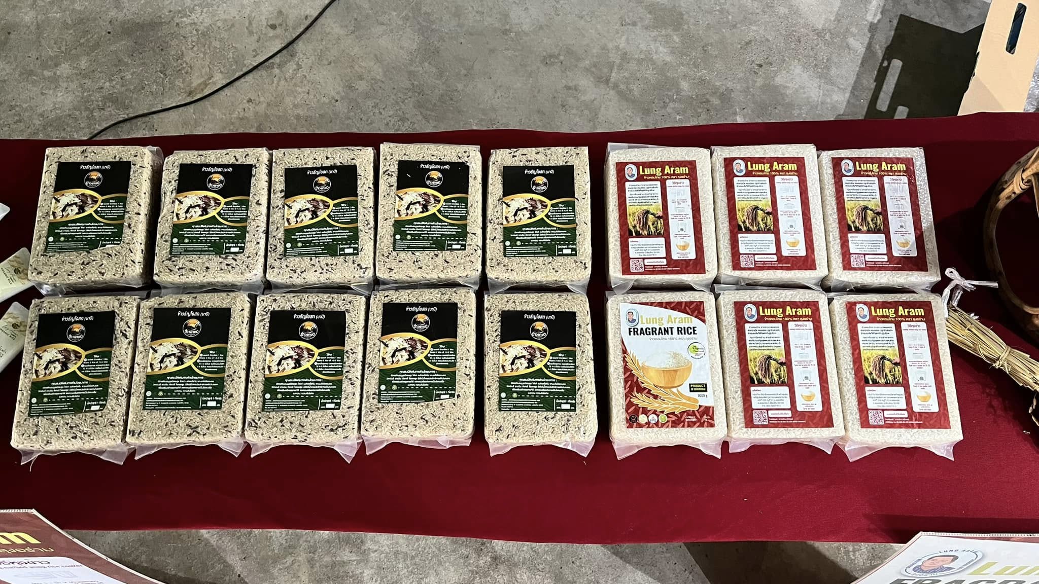 rice production day 13