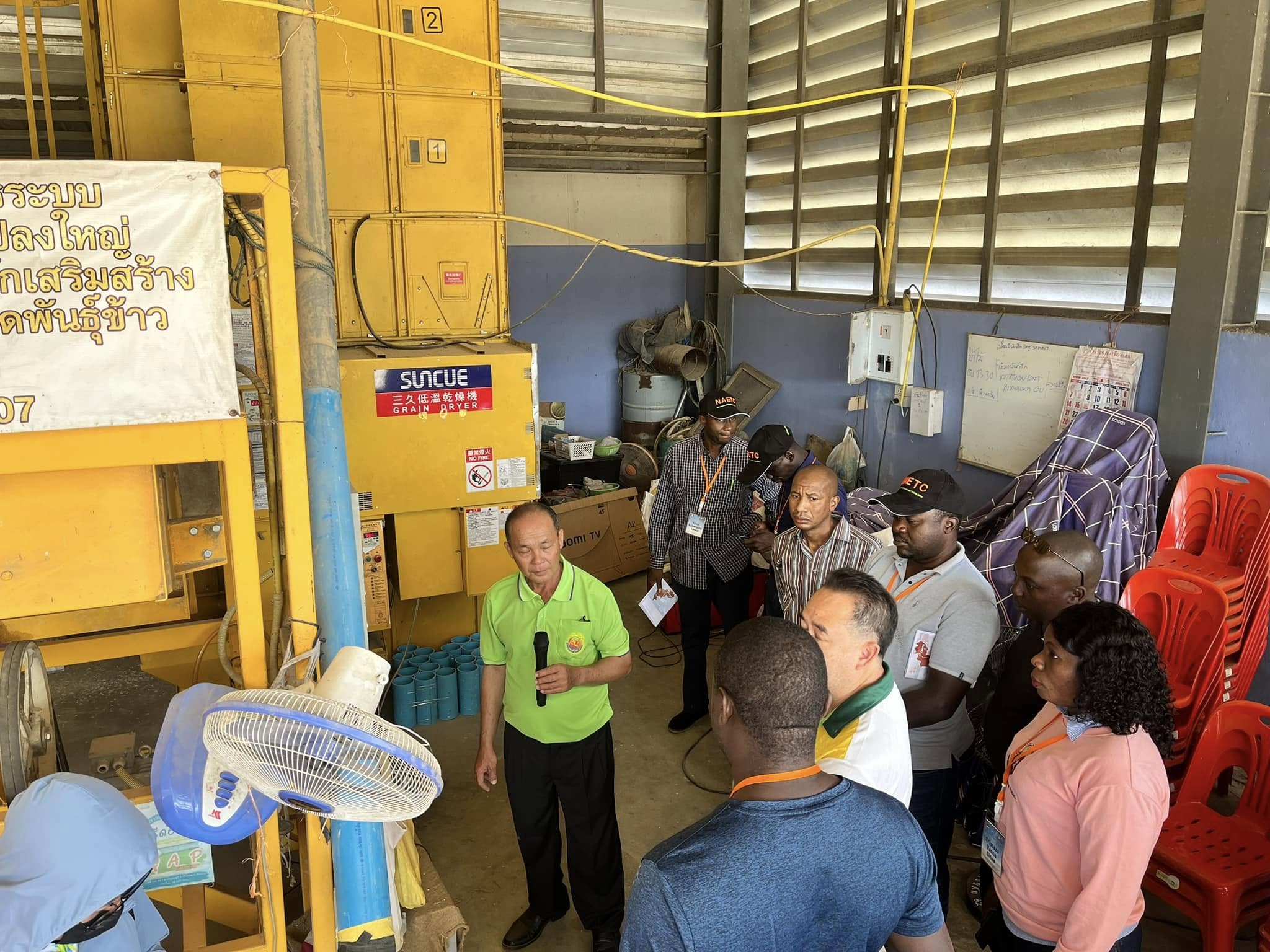 rice production day 12