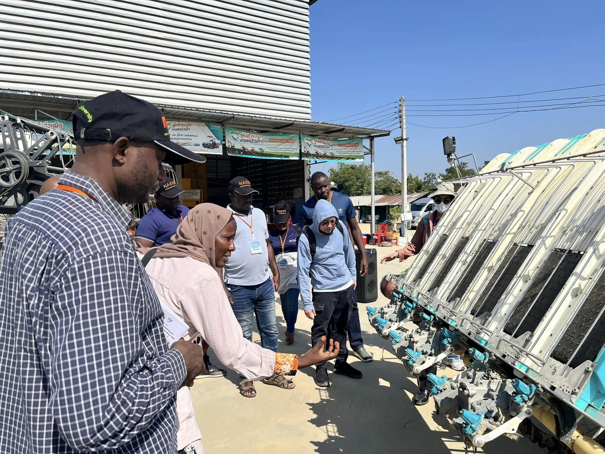 rice production day 12