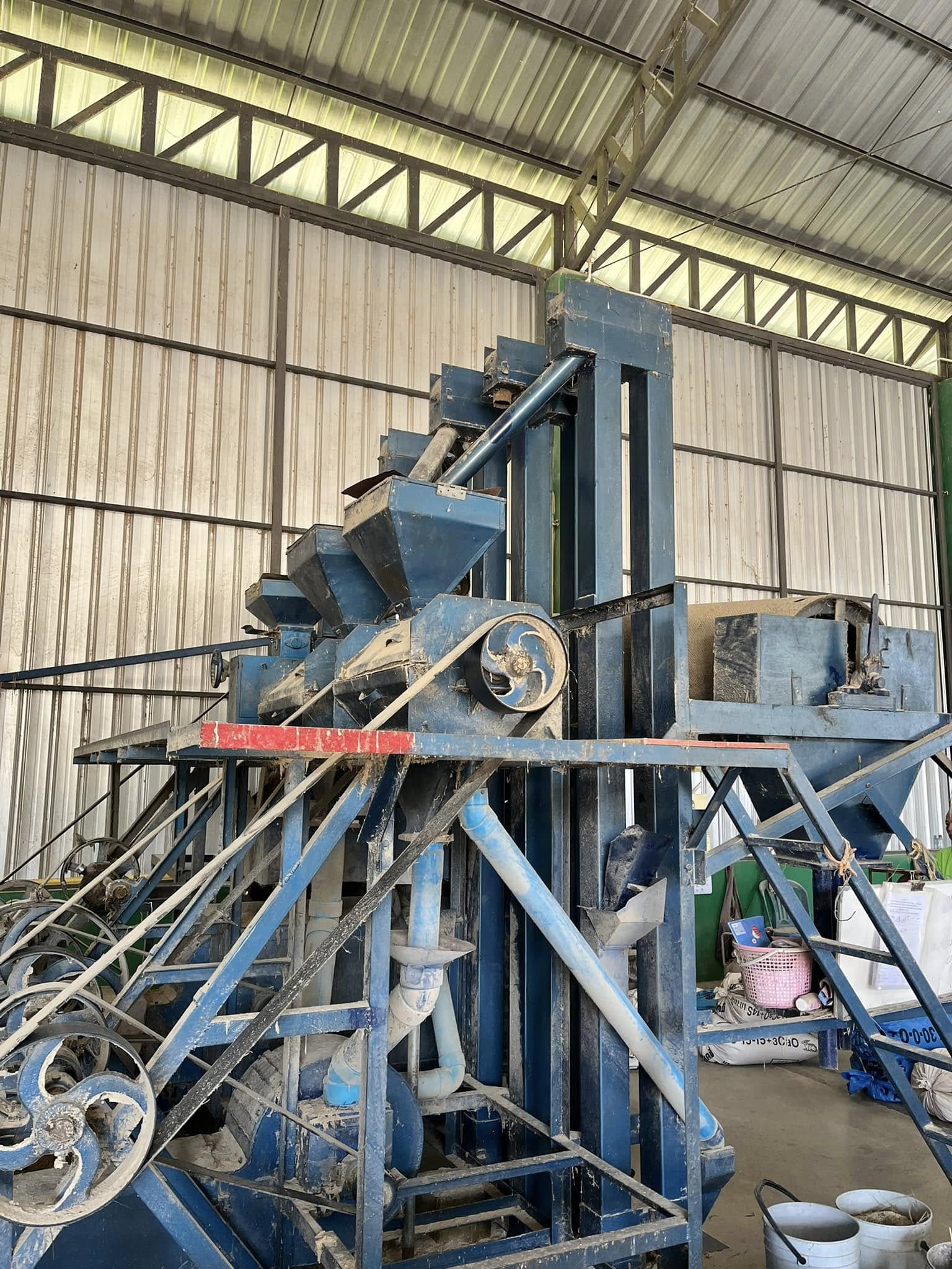 rice production day 12