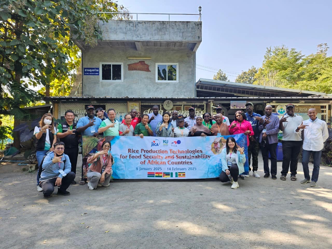rice production day 13