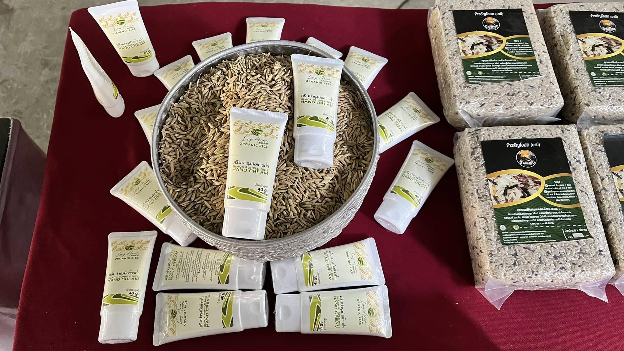 rice production day 13