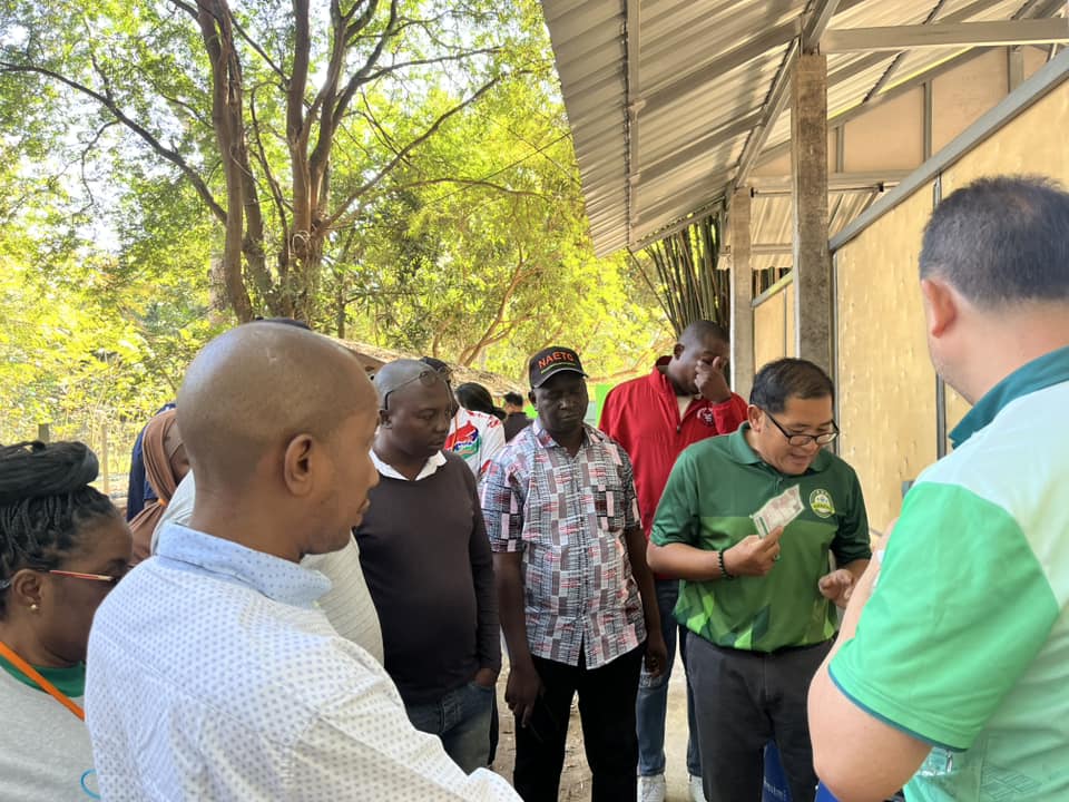 rice production day 13