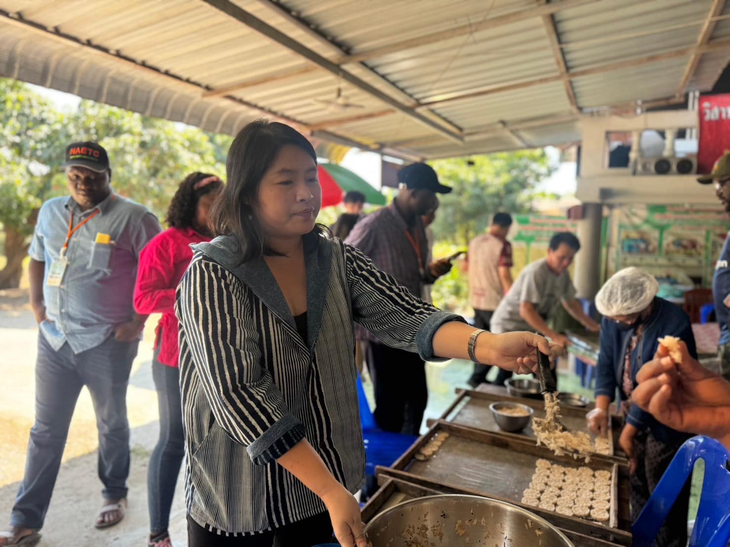 rice production day 13