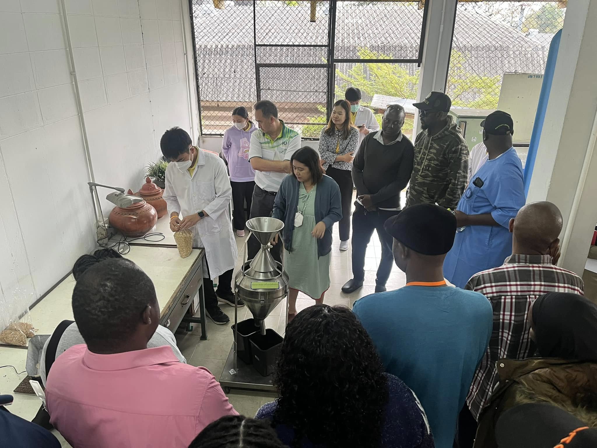 rice production day 14