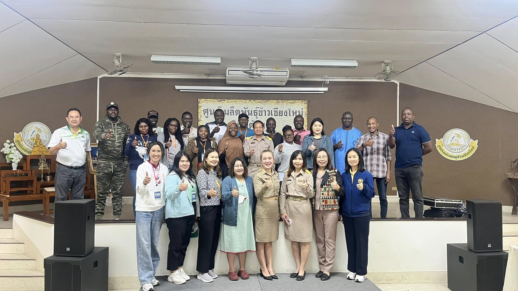 rice production day 14