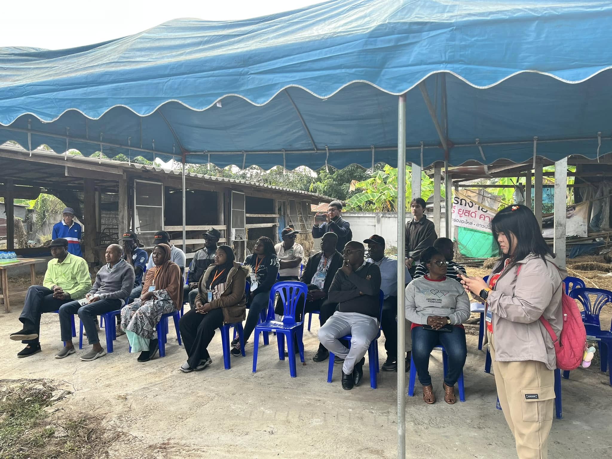 rice production day 15
