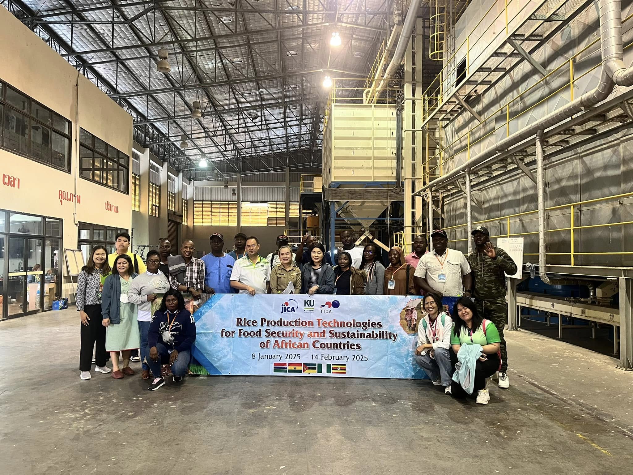 rice production day 14