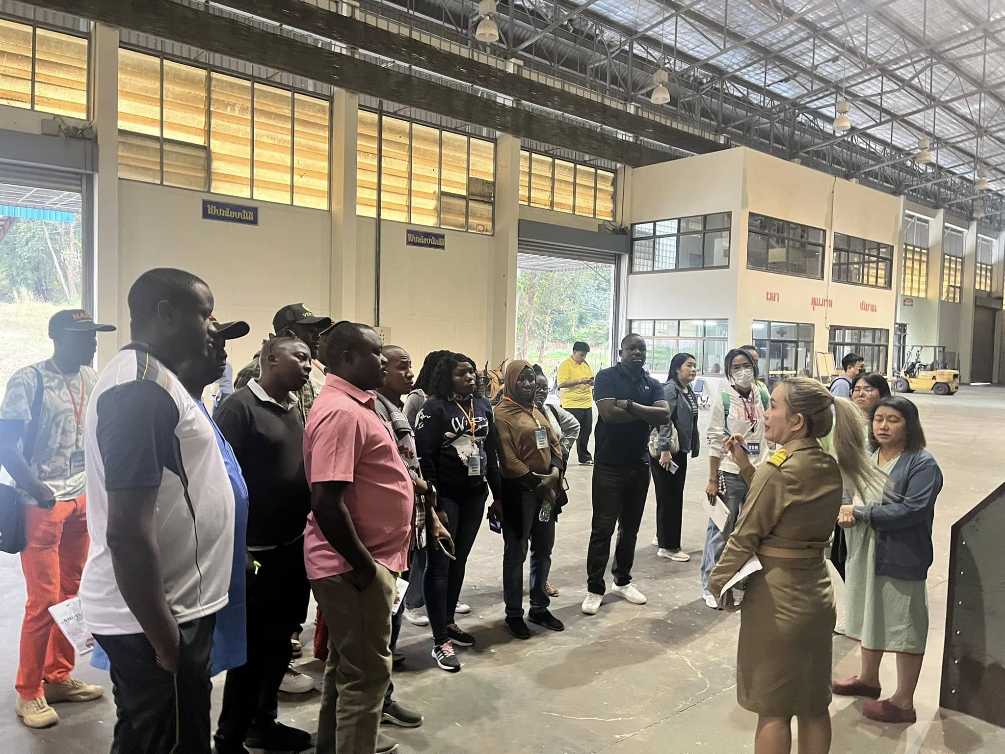 rice production day 14