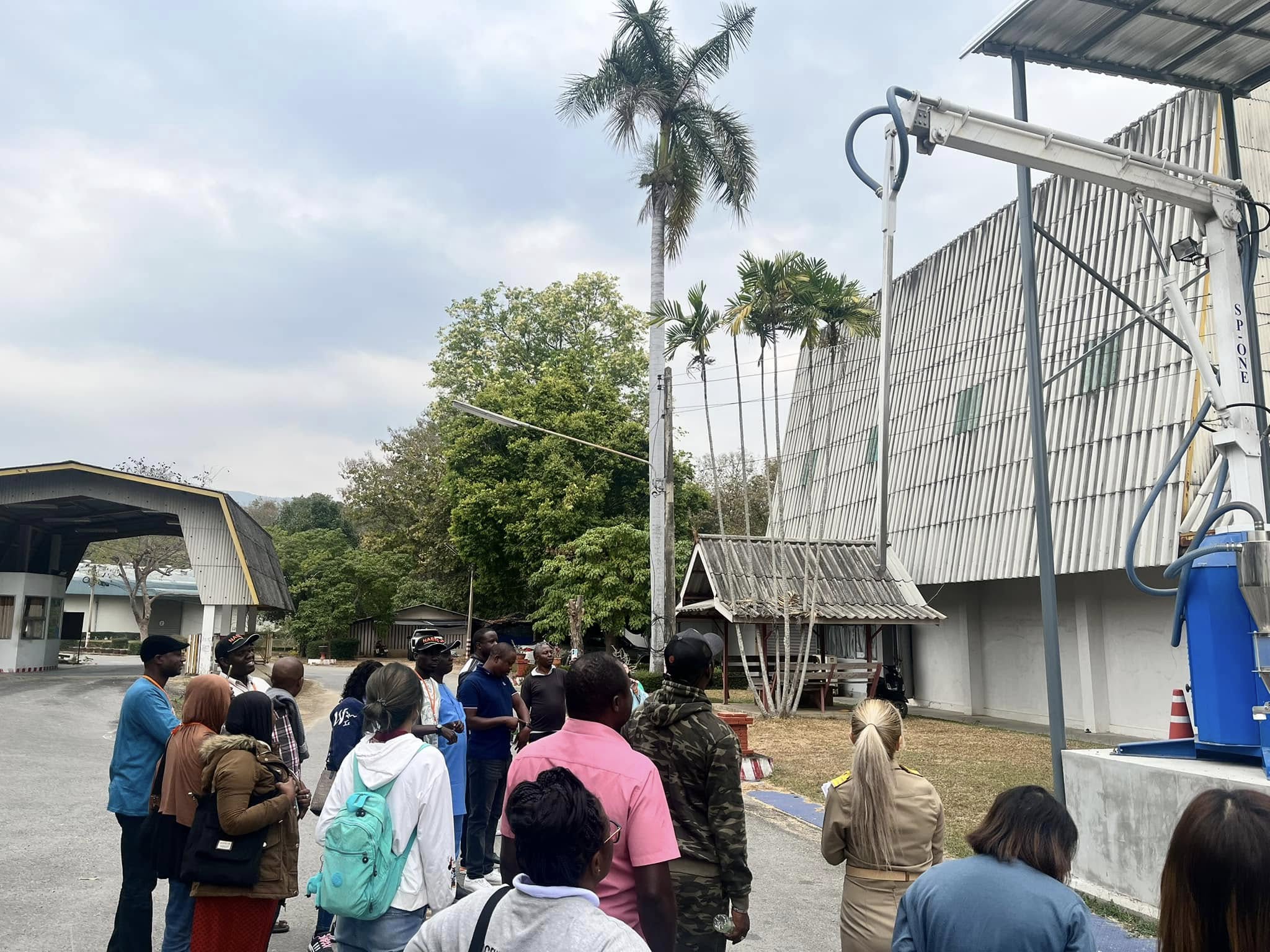 rice production day 14