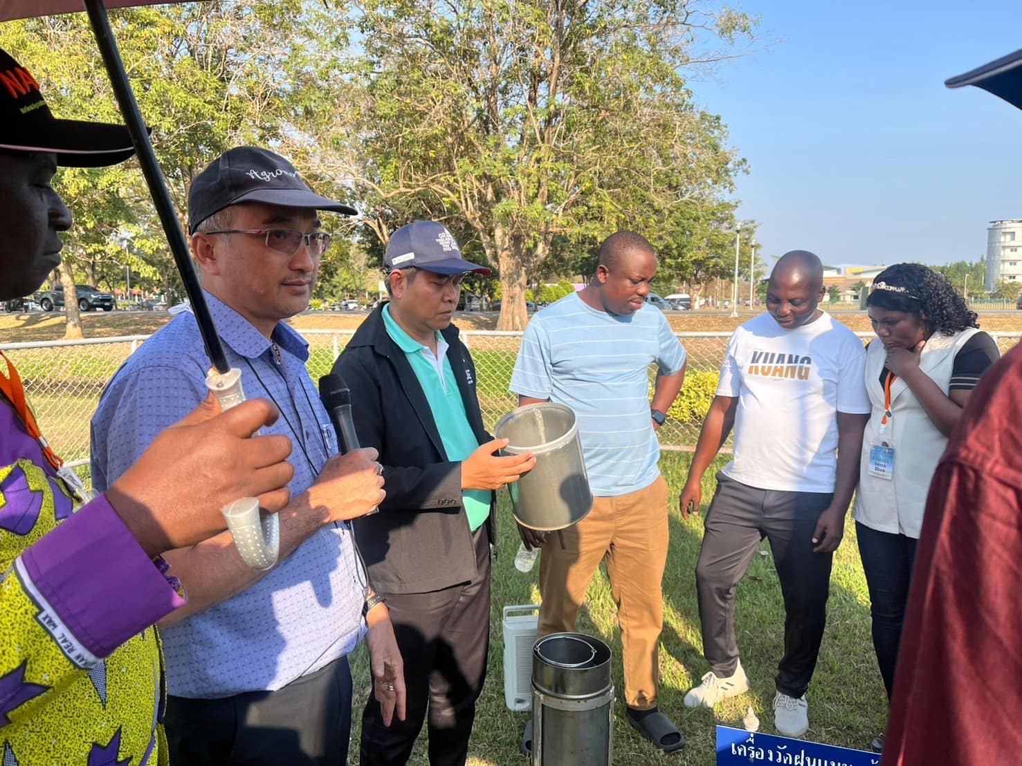 rice production day 16