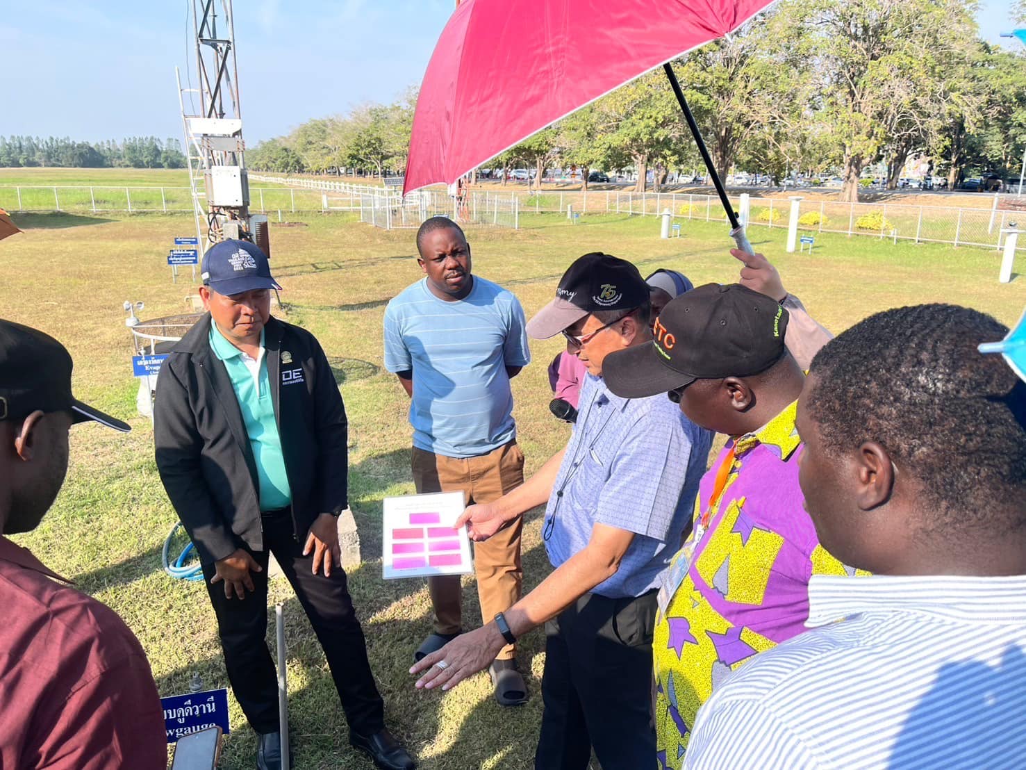 rice production day 16