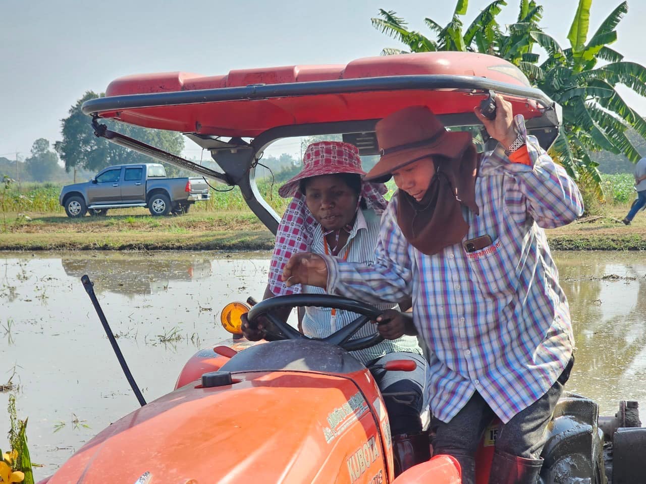 rice production day 17