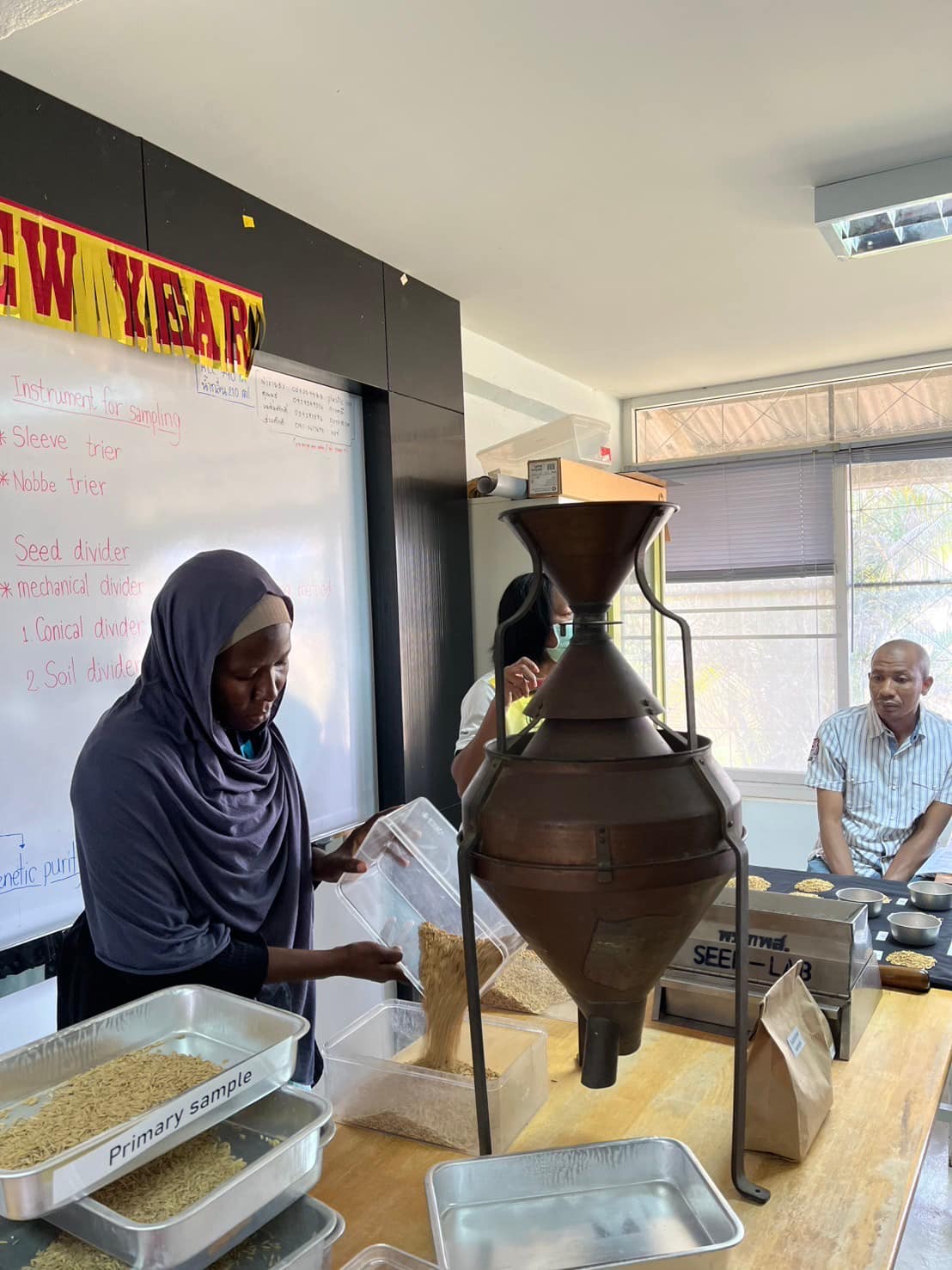 rice production day 17