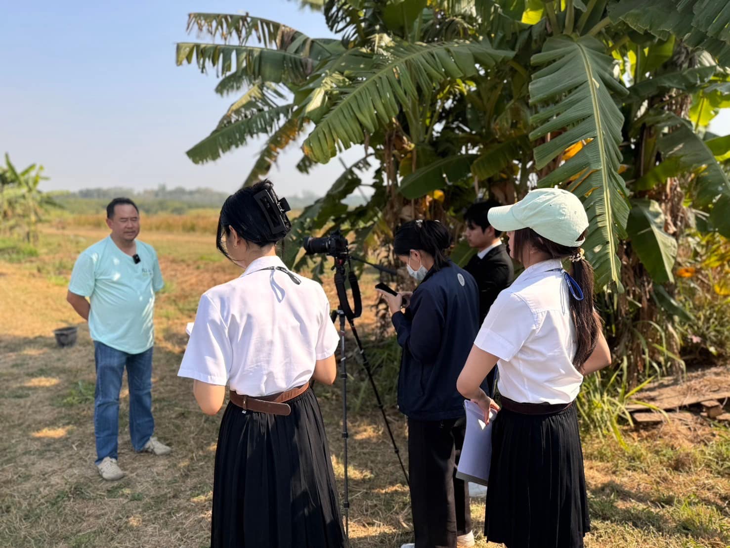 rice production day 18