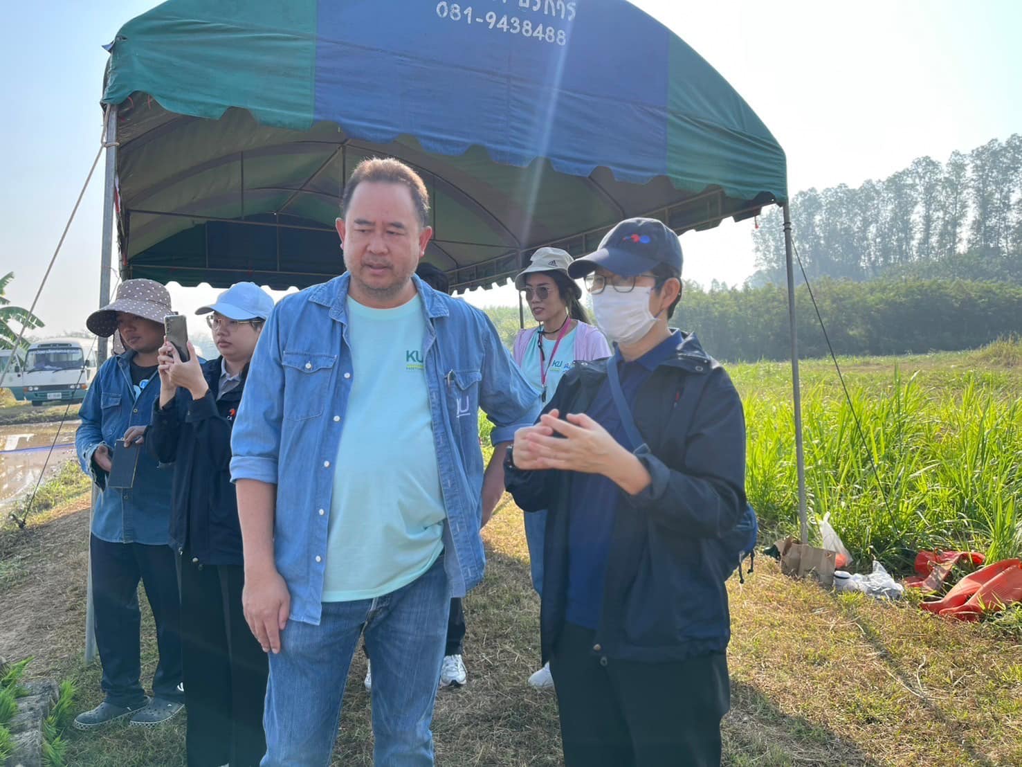rice production day 18