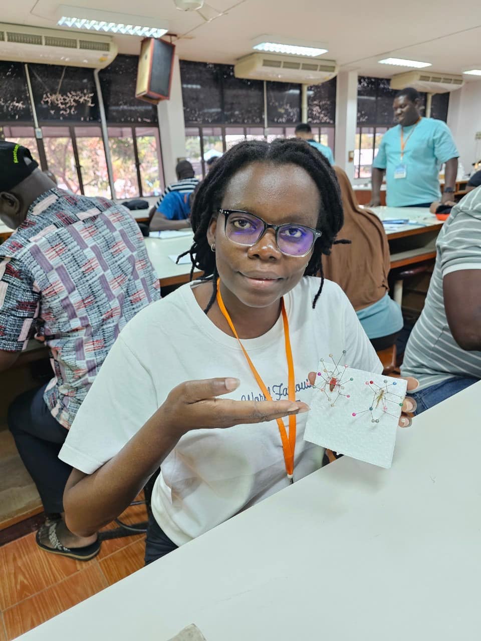 rice production day 21