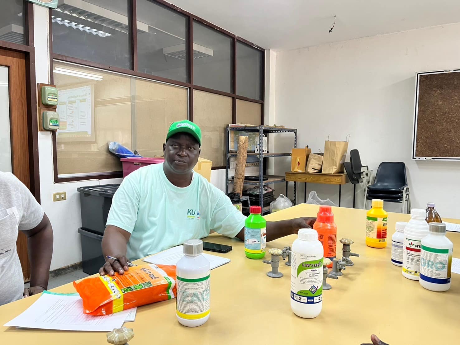 rice production day 20