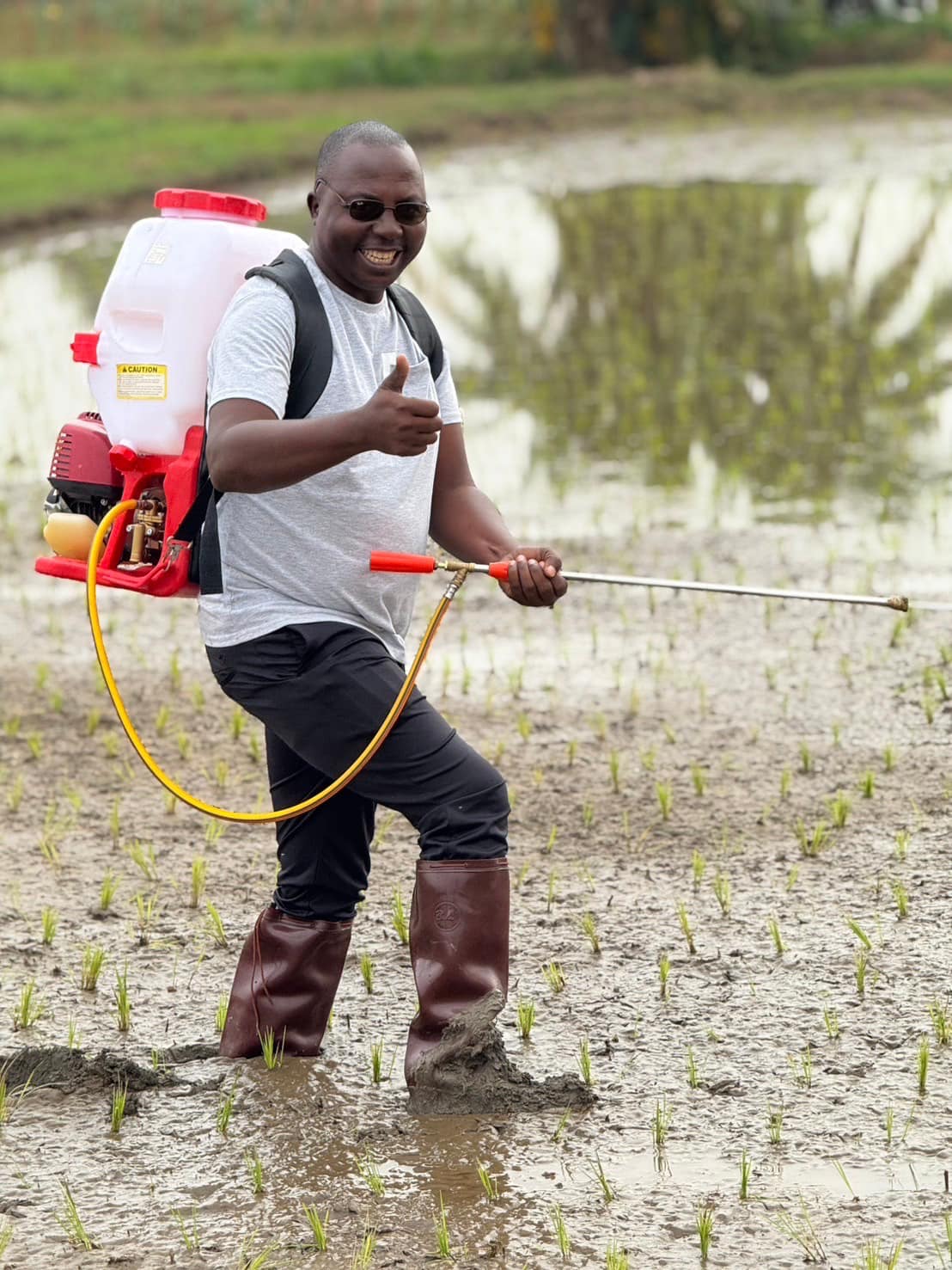 rice production day 20