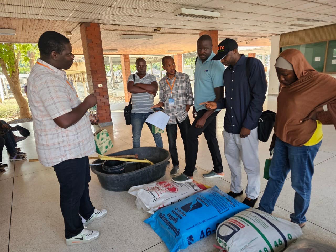 rice production day 19