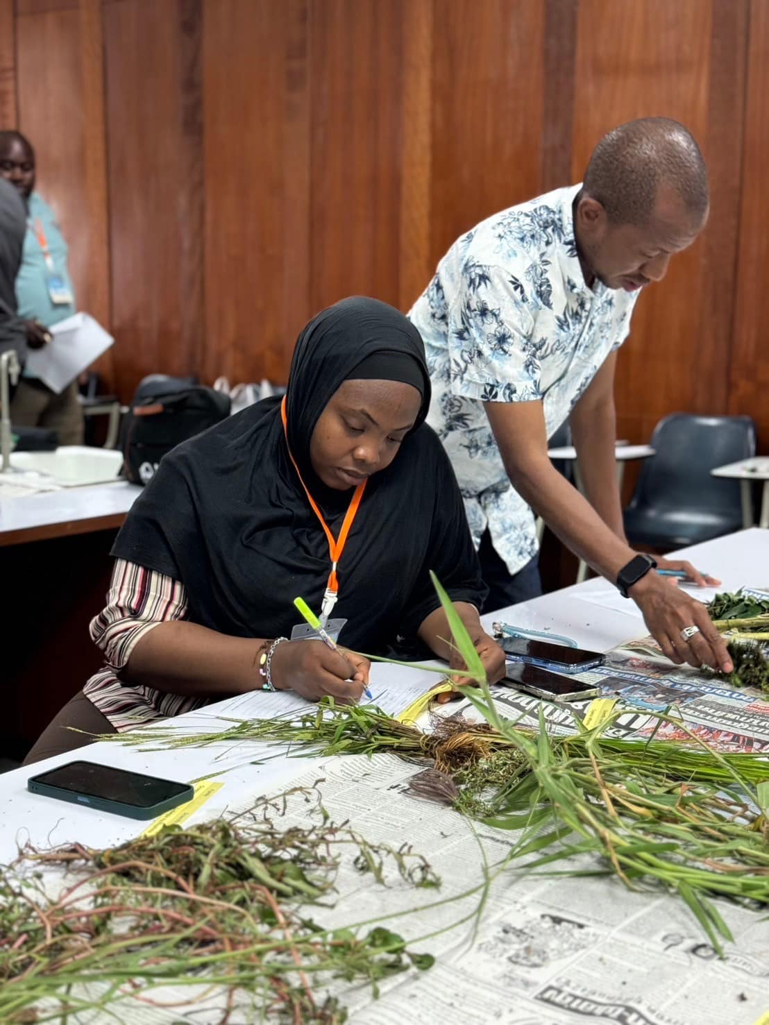 rice production day 20
