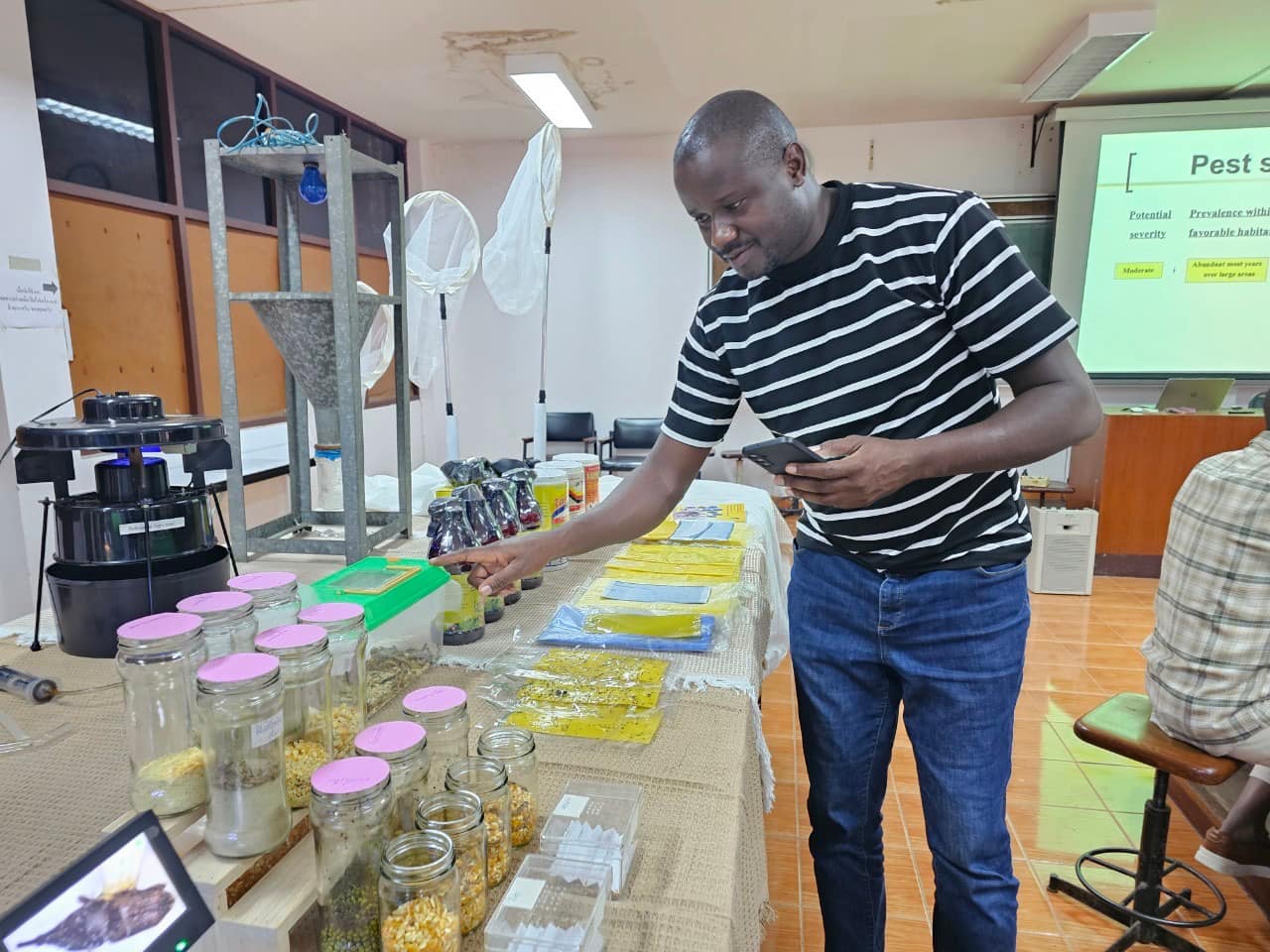 rice production day 21