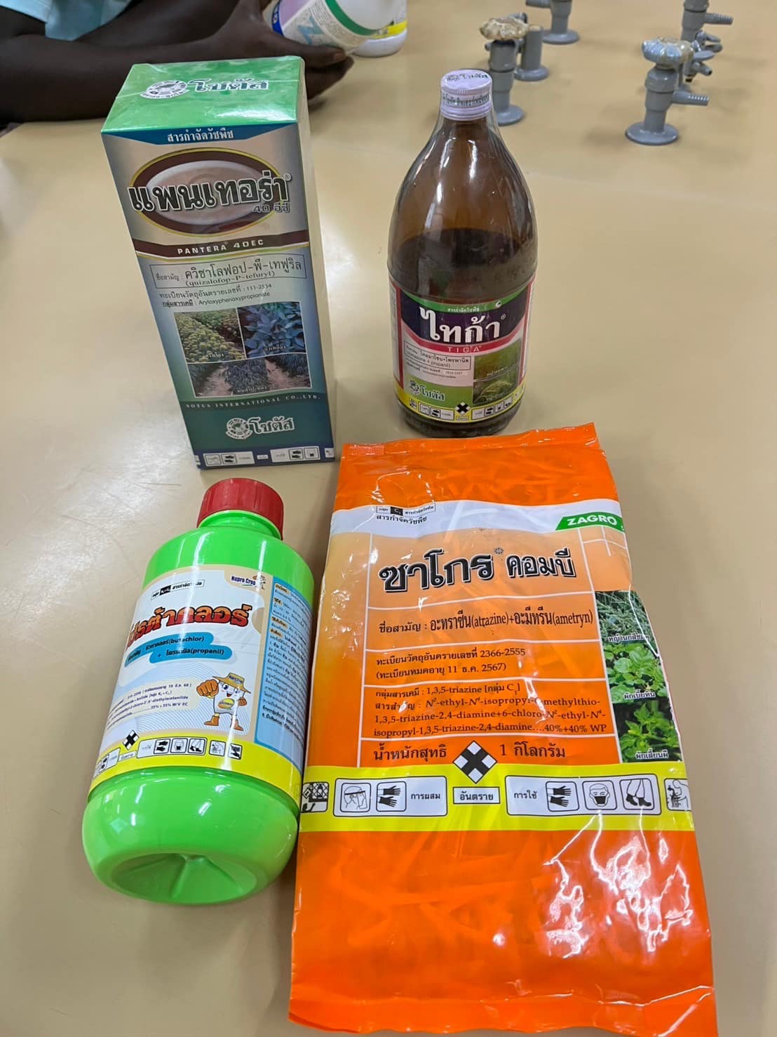 rice production day 20