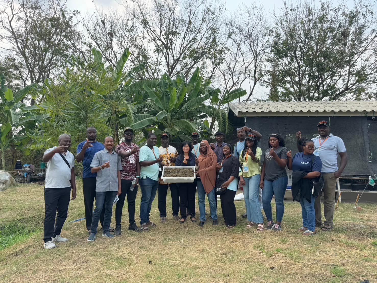 rice production day 22