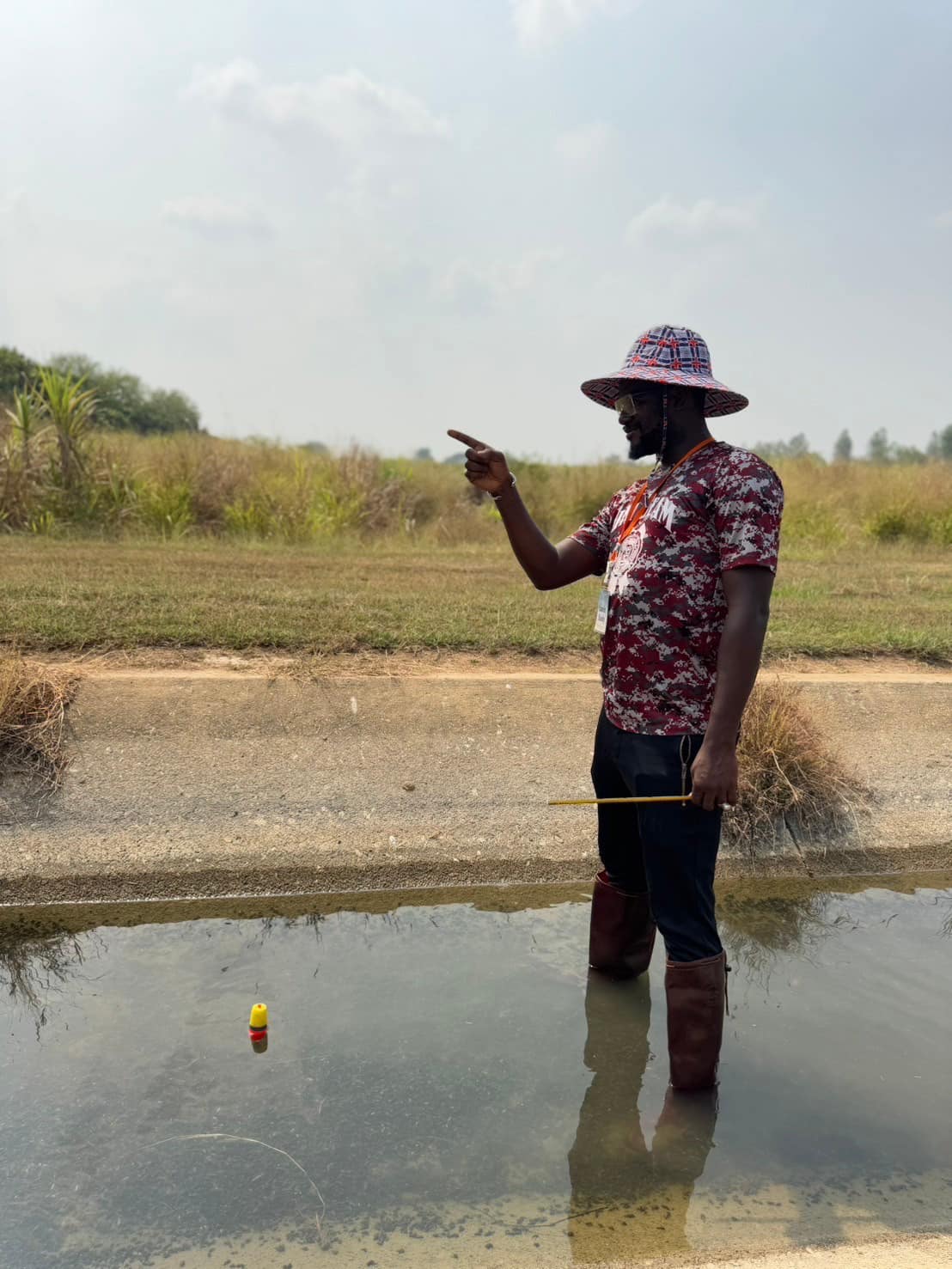 rice production day 22